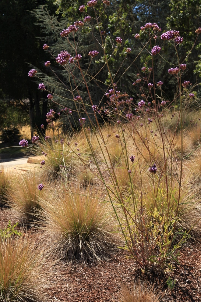 Portola Valley Ranch by The Garden Route Company - Photo 5