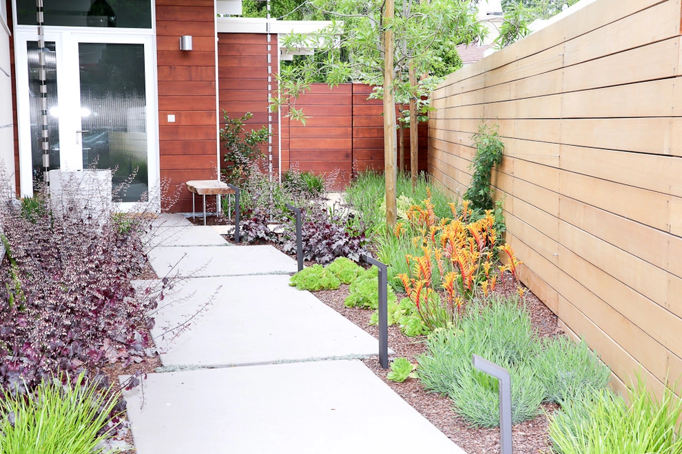 Palo Alto Eichler by The Garden Route Company - Photo 11