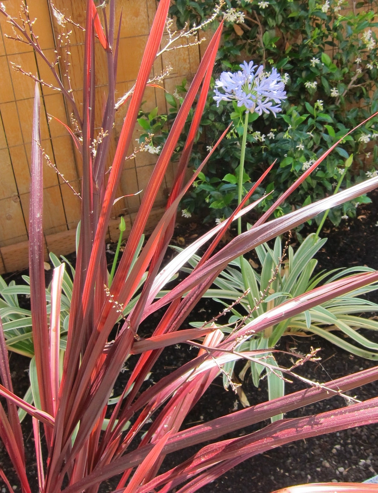 Cozy Irvington Back Yard by Becky Bourdeau Designs Inc - Photo 10