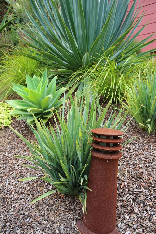 San Francisco Mid Century Revival by The Garden Route Company - Photo 19