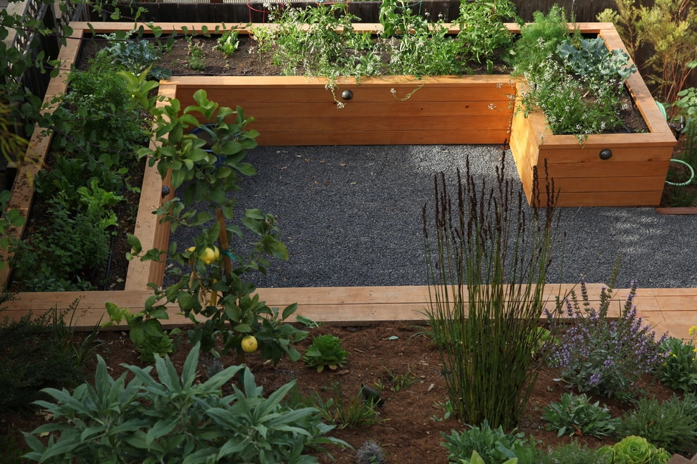 City View Garden - Bernal Heights by The Garden Route Company - Photo 9