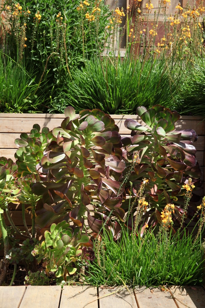 City View Garden - Bernal Heights by The Garden Route Company - Photo 8