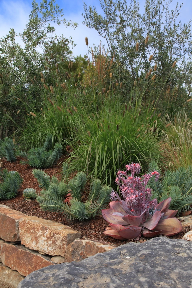 Hillsborough Entry Garden by The Garden Route Company - Photo 9