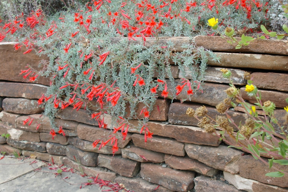 Castro Street by The Garden Route Company - Photo 3