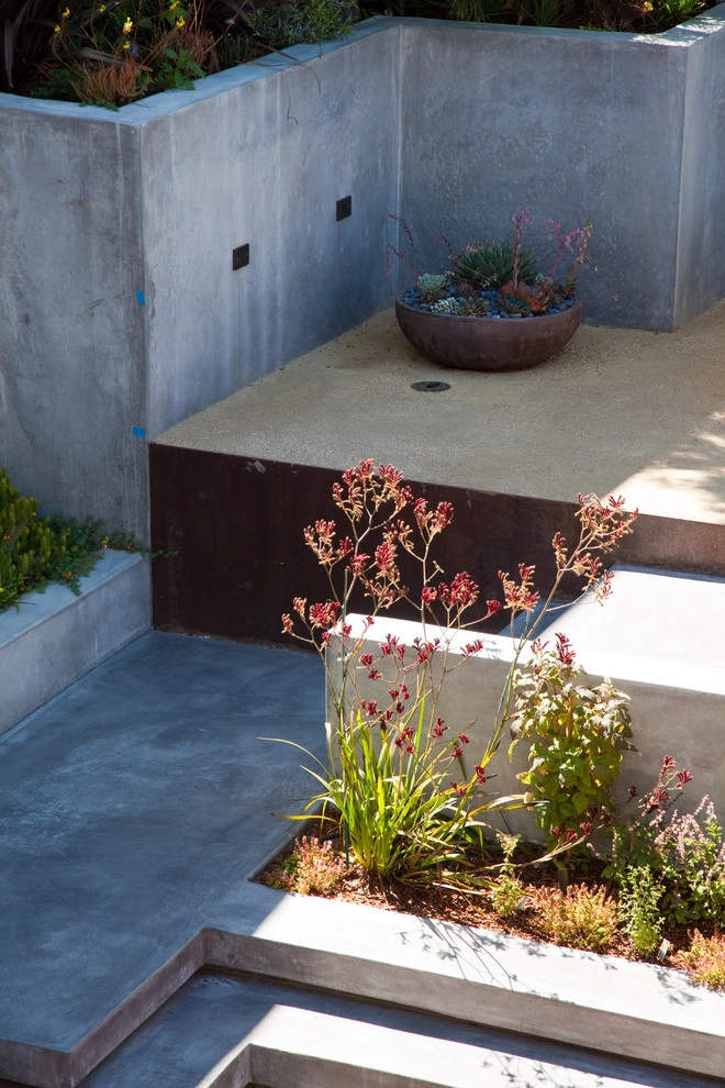 San Francisco Modern by The Garden Route Company - Photo 10