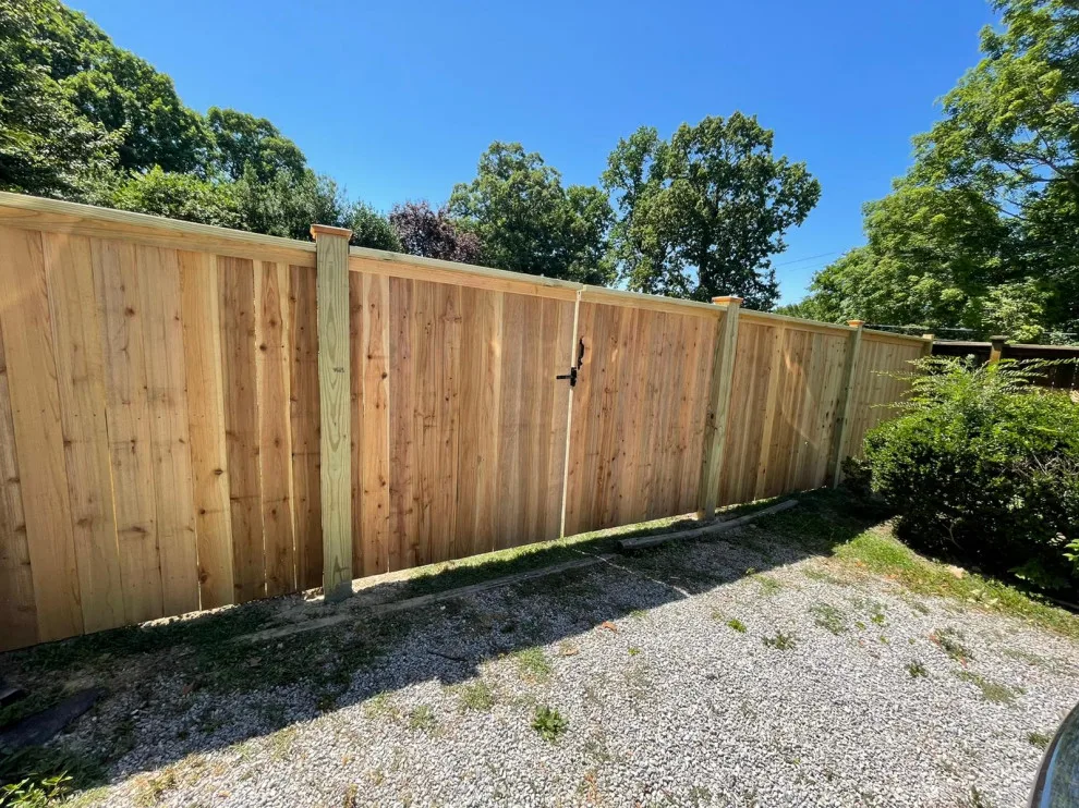 United Tree Professional Services LLC 7 by Morales Fence Installation & Repair - Photo 2