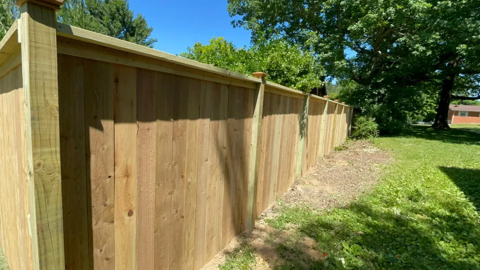 United Tree Professional Services LLC 7 by Morales Fence Installation & Repair - Photo 4