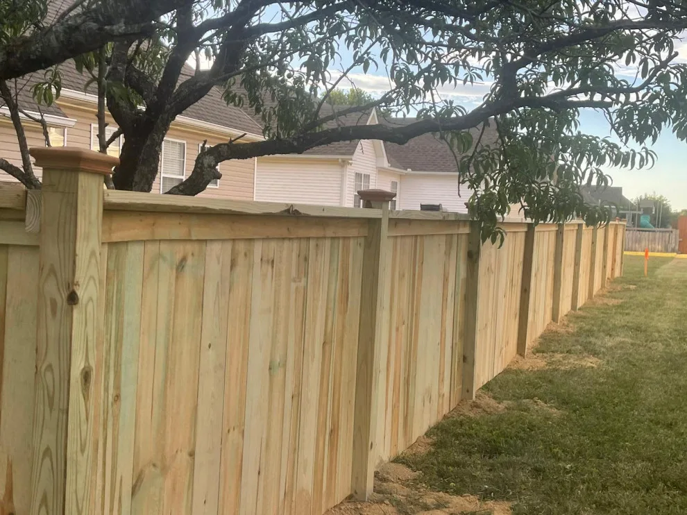 United Tree Professional Services LLC 7 by Morales Fence Installation & Repair - Photo 3