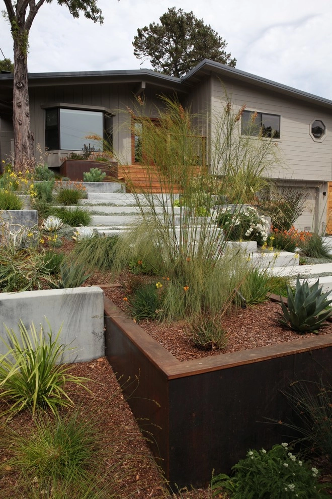 Modern Belmont Entry Garden by The Garden Route Company - Photo 2