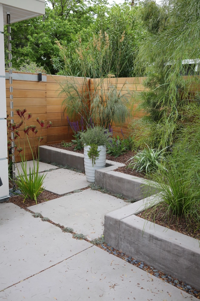 Palo Alto Eichler by The Garden Route Company - Photo 13