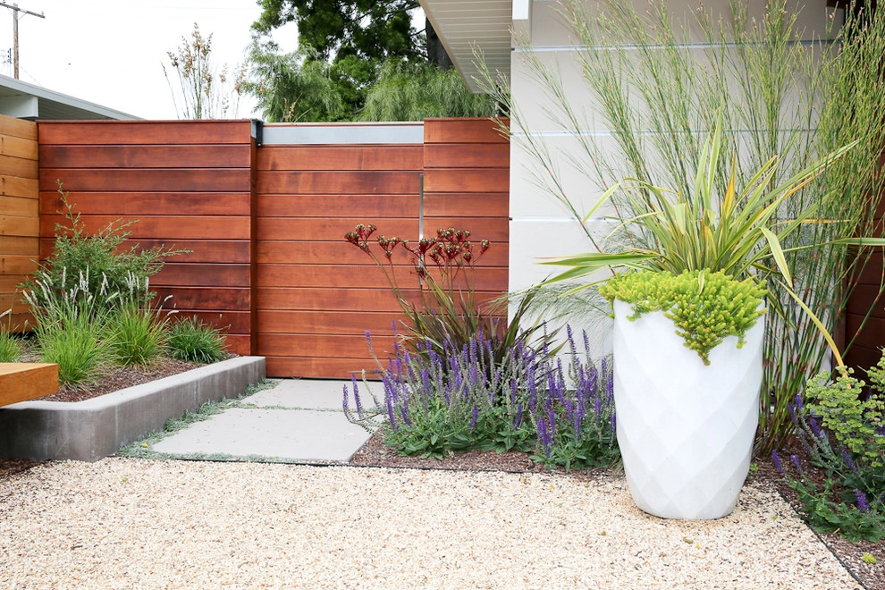 Palo Alto Eichler by The Garden Route Company - Photo 5
