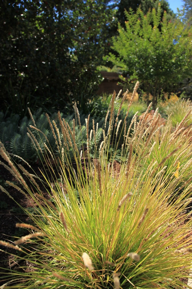 Portola Valley Ranch by The Garden Route Company - Photo 12