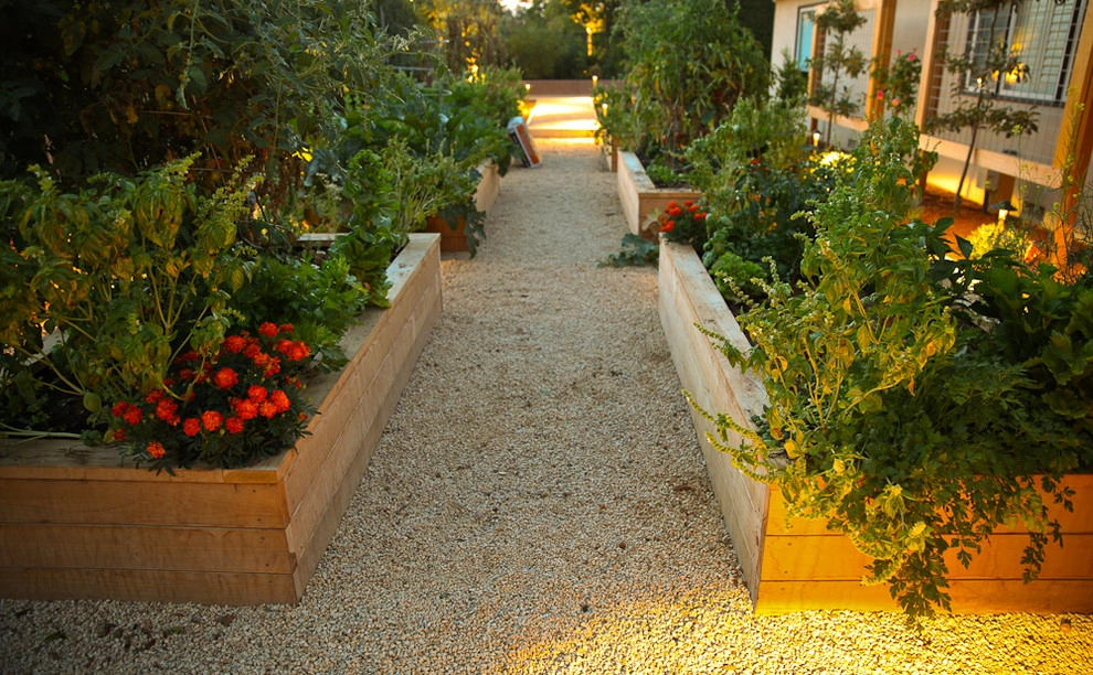 Sustainable Hillsborough Garden by The Garden Route Company - Photo 8