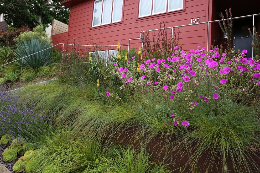 San Francisco Mid Century Revival by The Garden Route Company - Photo 13