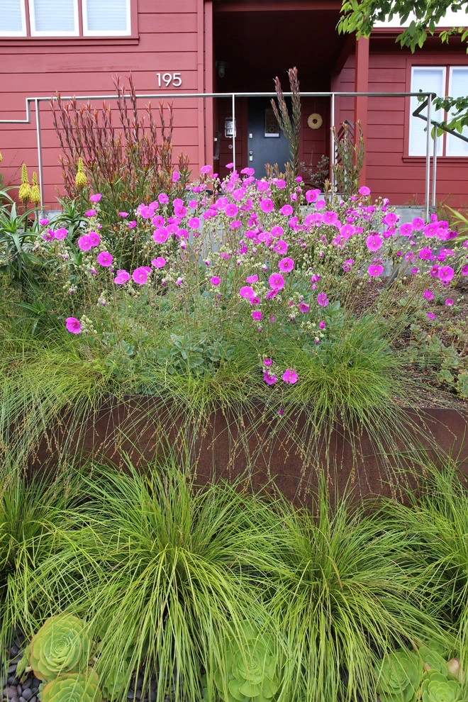 San Francisco Mid Century Revival by The Garden Route Company - Photo 6
