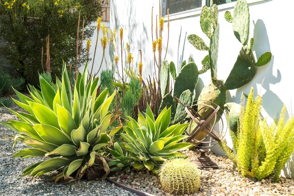 Mid-City Yard Made for Living by Becky Bourdeau Designs Inc - Photo 28