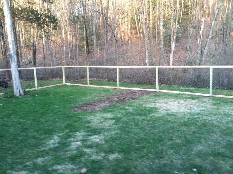 Woodbury - Modern Dog Enclosure by Hartford Fence Company - Photo 8
