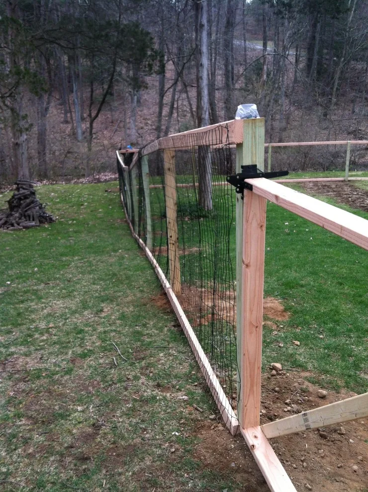 Woodbury - Modern Dog Enclosure by Hartford Fence Company - Photo 4