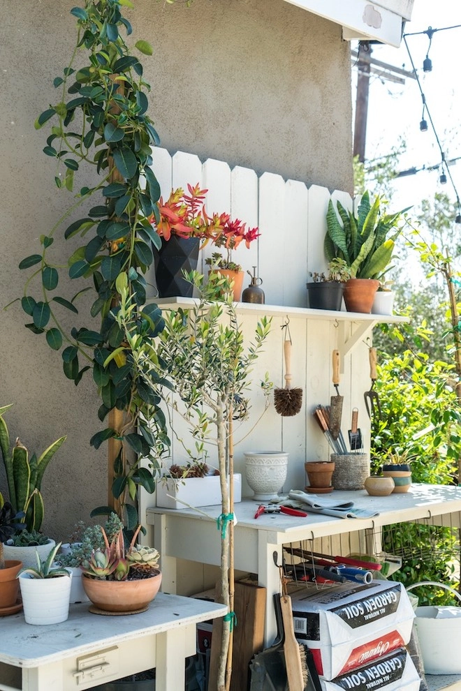 Mid-City Yard Made for Living by Becky Bourdeau Designs Inc - Photo 17