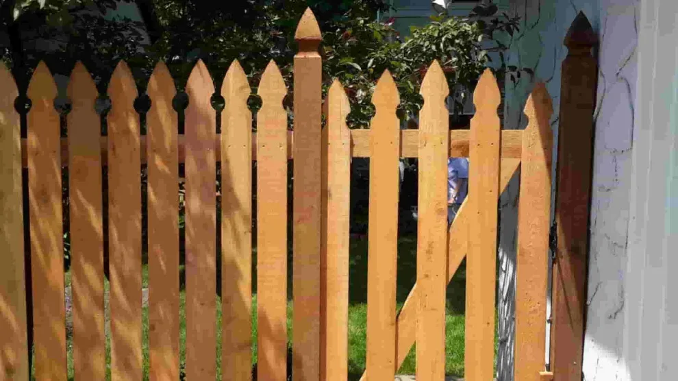 Top Line Fence - Photo 2