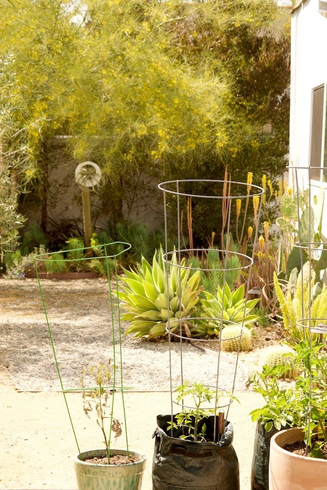 Mid-City Yard Made for Living by Becky Bourdeau Designs Inc - Photo 25