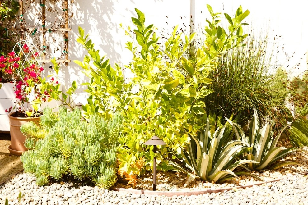 Mid-City Yard Made for Living by Becky Bourdeau Designs Inc - Photo 22