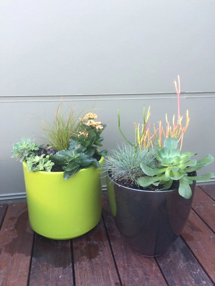 Venice Beach Eclectic Decks by Becky Bourdeau Designs Inc - Photo 8