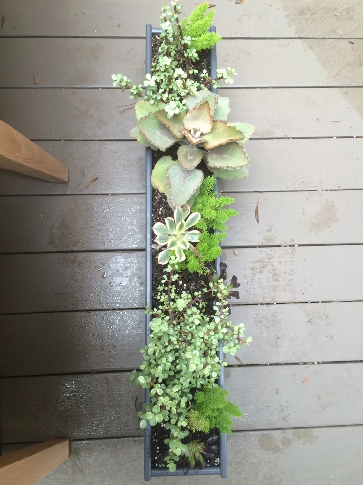 Venice Beach Eclectic Decks by Becky Bourdeau Designs Inc - Photo 4