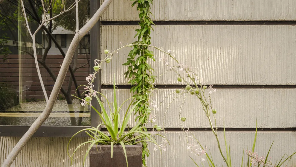 Create Home (artist residence, studio, accessory dwelling unit) by Hush House - Photo 10
