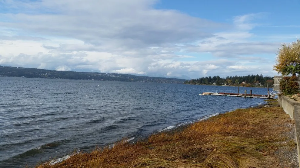 Driftwood Estate - Tailored Lakeside Residence by Pacific Home Source LLC - Photo 27