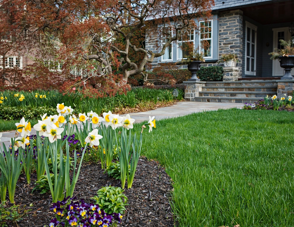 Moorestown Entryway by Beechwood Landscape Architecture And Construction - Photo 8