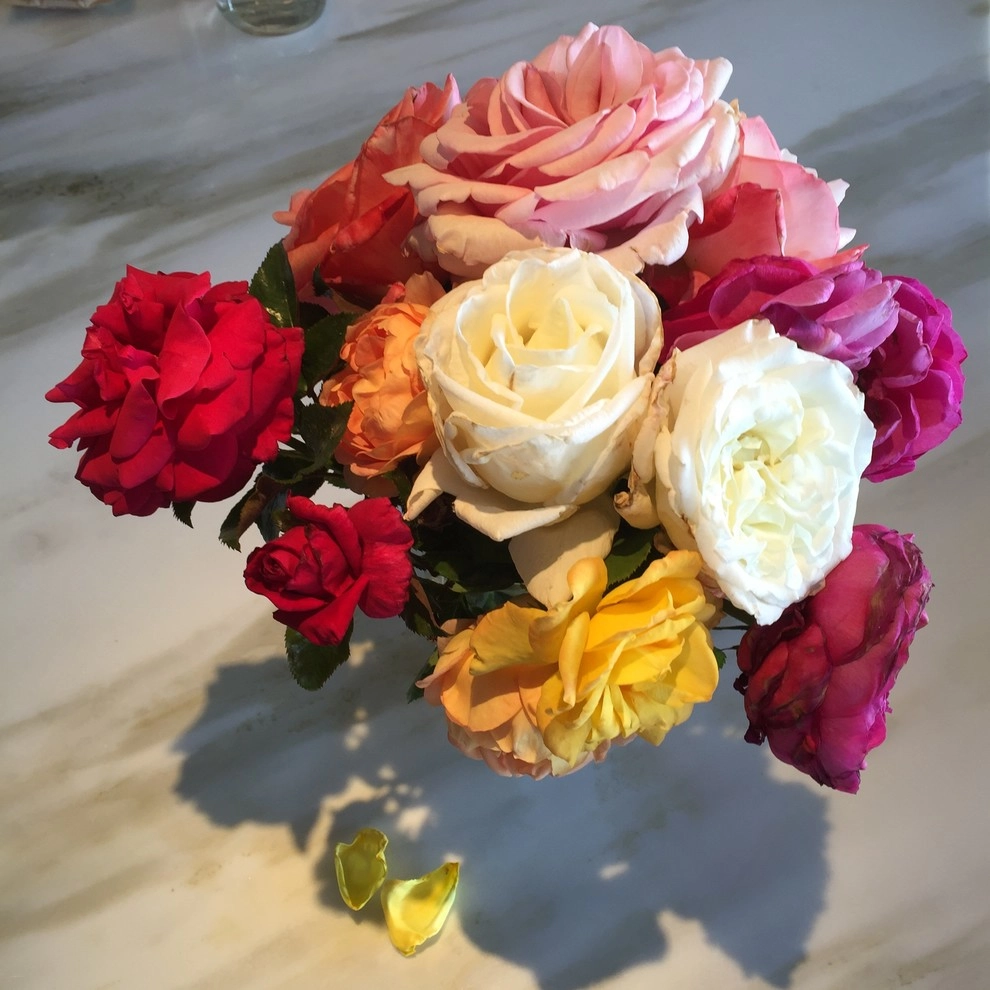 Rose Garden Design and Consulting by The JCRD Group - Photo 4