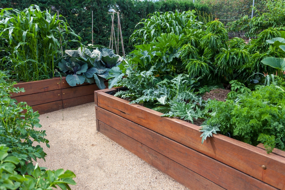 Vegetable and Herb Garden Design by The JCRD Group - Photo 6