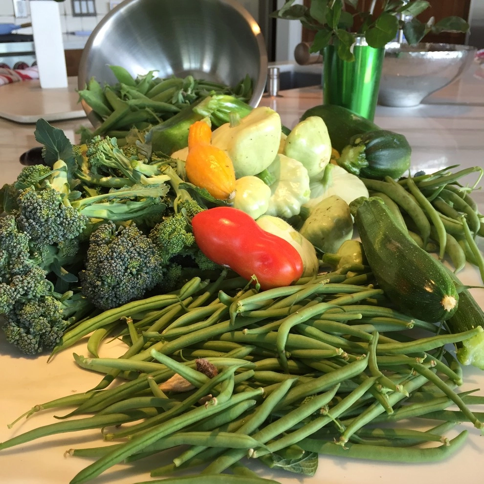 Vegetable and Herb Garden Design by The JCRD Group - Photo 3