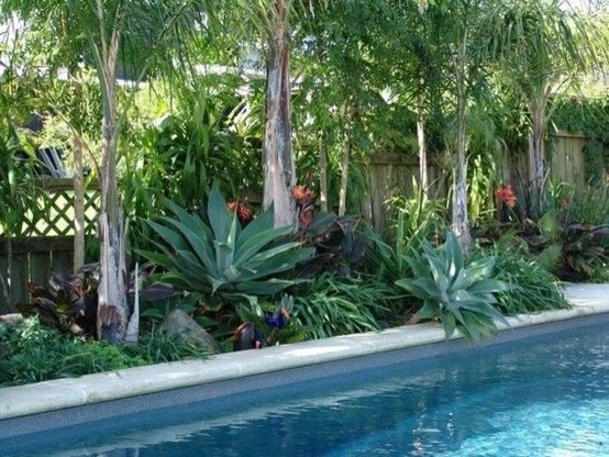 Poolside, Outdoor Dining Area Design by The JCRD Group - Photo 2