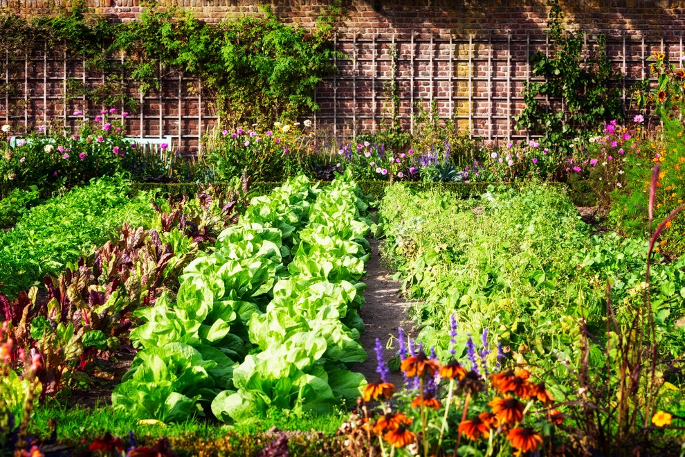 Vegetable and Herb Garden Design by The JCRD Group - Photo 8