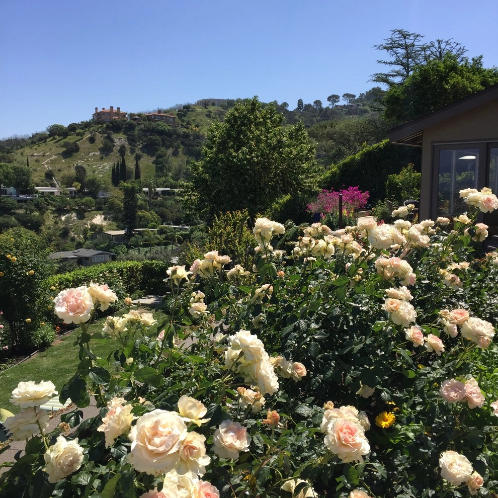 Rose Garden Design and Consulting by The JCRD Group - Photo 10
