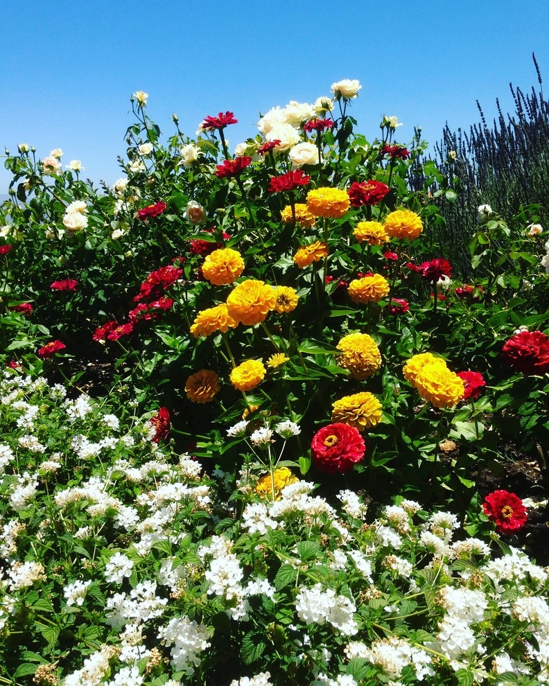 Cottage Garden Design by The JCRD Group - Photo 3