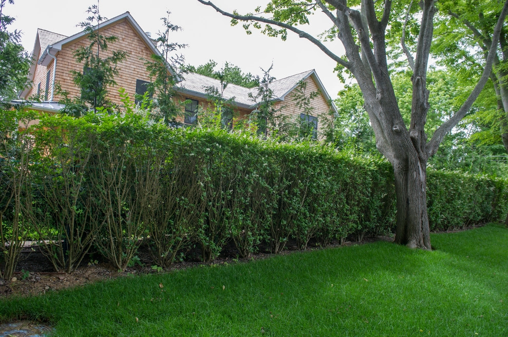 Perfect lawn and landscaping by The León Group, LLC - Photo 10