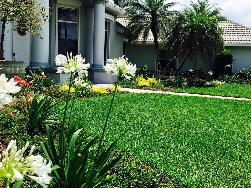 Suntree Landscape Remodel by The Master's Touch Landscape And Design - Photo 9