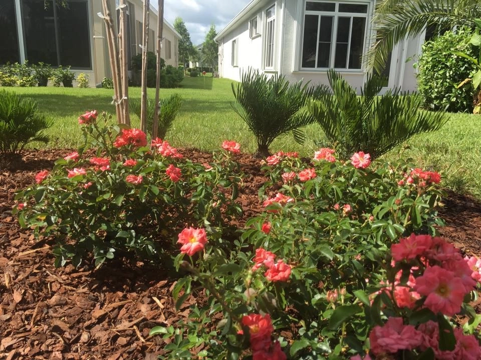 Heritage Isle - Moonstone Lane by The Master's Touch Landscape And Design - Photo 6