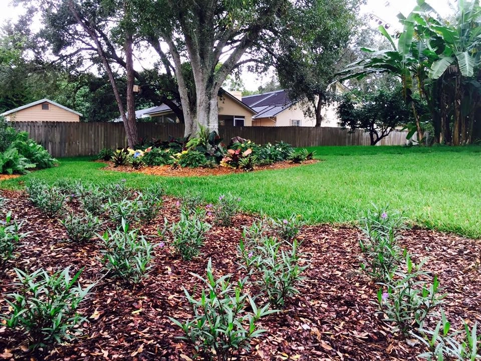 Backyard Makeover by The Master's Touch Landscape And Design - Photo 12