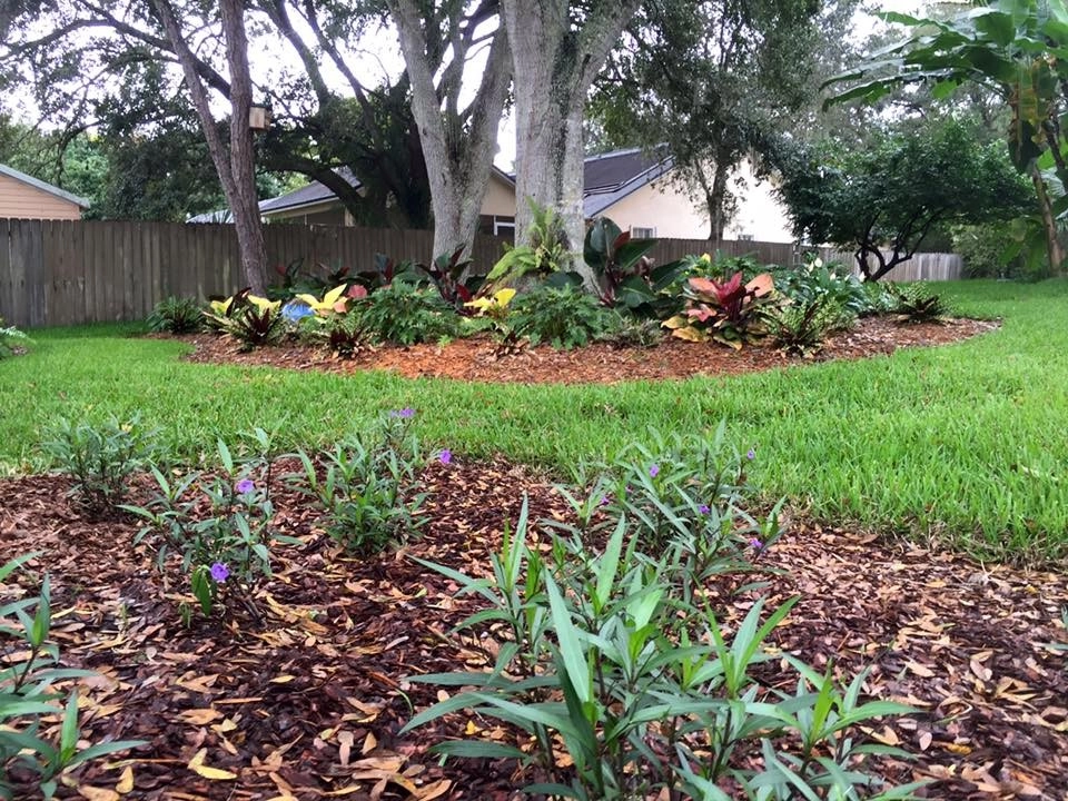 Backyard Makeover by The Master's Touch Landscape And Design - Photo 15