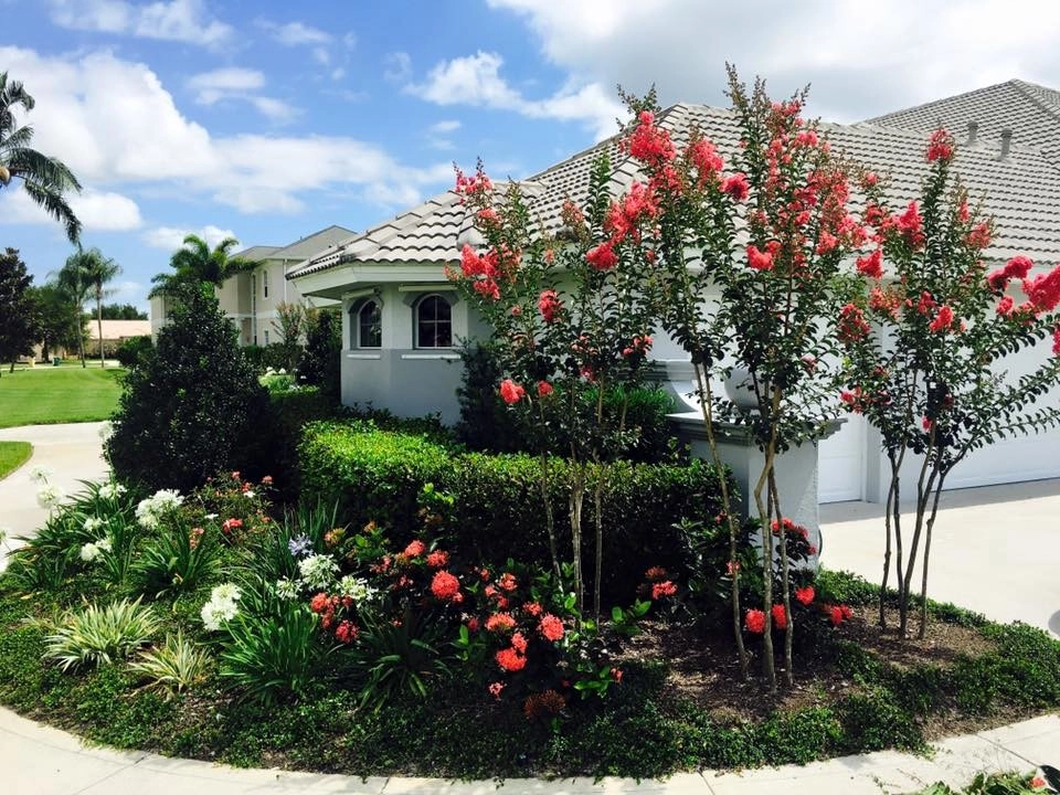 Suntree Landscape Remodel by The Master's Touch Landscape And Design - Photo 10