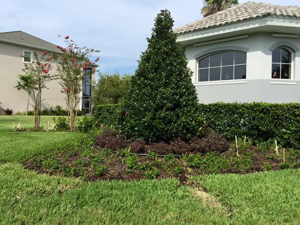 Suntree Landscape Remodel by The Master's Touch Landscape And Design - Photo 5