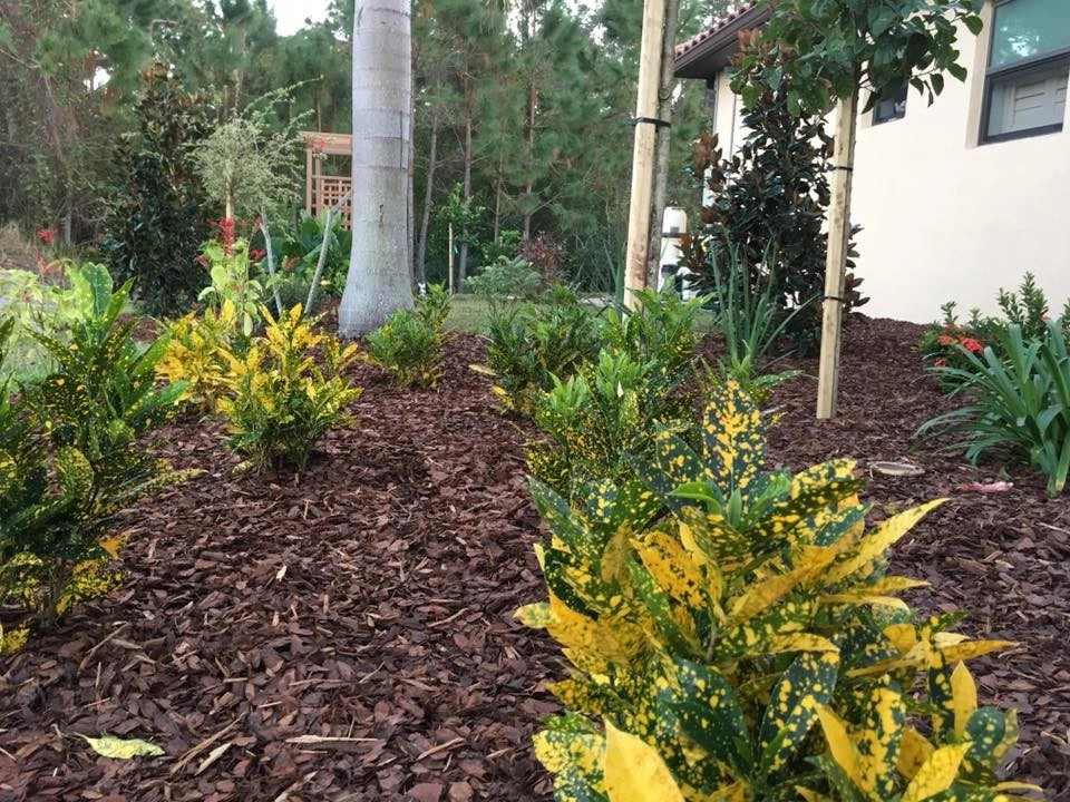 Tralee Bay Estates Landscape by The Master's Touch Landscape And Design - Photo 2