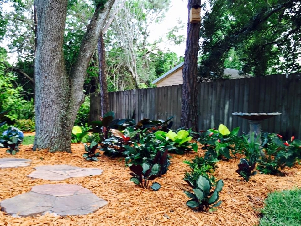 Backyard Makeover by The Master's Touch Landscape And Design - Photo 14