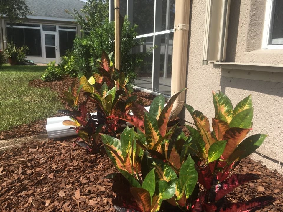 Heritage Isle - Moonstone Lane by The Master's Touch Landscape And Design - Photo 4