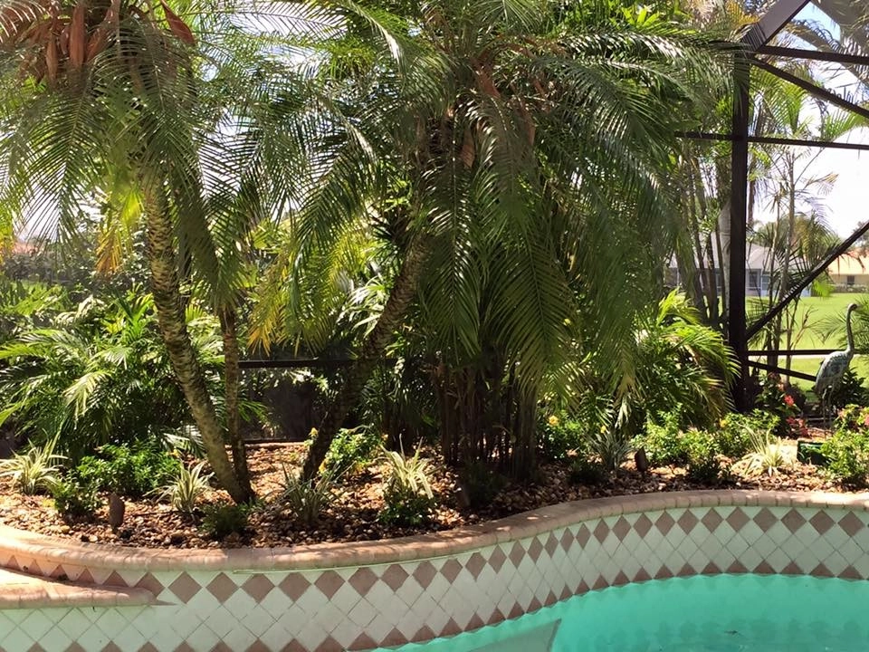Pool Landscapes by The Master's Touch Landscape And Design - Photo 6