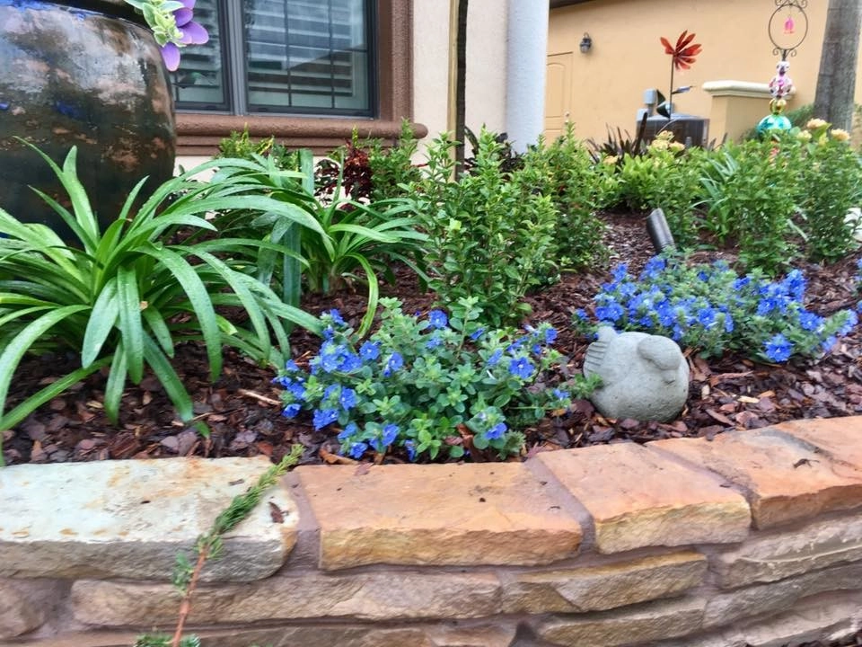 Tralee Bay Estates Landscape by The Master's Touch Landscape And Design - Photo 15